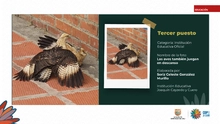 Fueron premiados los talentos estudiantiles que fotografiaron la  biodiversidad de Cali