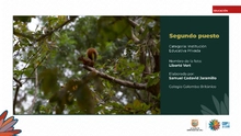 Fueron premiados los talentos estudiantiles que fotografiaron la  biodiversidad de Cali