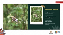 Fueron premiados los talentos estudiantiles que fotografiaron la  biodiversidad de Cali