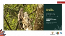 Fueron premiados los talentos estudiantiles que fotografiaron la  biodiversidad de Cali