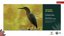 Fueron premiados los talentos estudiantiles que fotografiaron la  biodiversidad de Cali