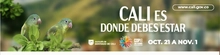 Cop16 2024-2