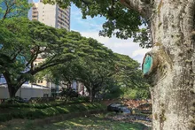 Cali es finalista del concurso ambiental ‘We Love Cities’: el 31 de  octubre cierran las votaciones