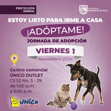 ¿Quieres brindarle un hogar a un animal de compañía? ¡Este 31 de octubre y 1 de noviembre son tus días para hacerlo!
