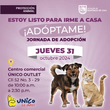 ¿Quieres brindarle un hogar a un animal de compañía? ¡Este 31 de octubre y 1 de noviembre son tus días para hacerlo!