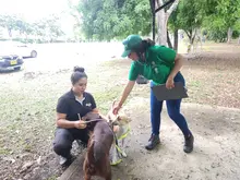 Alcaldía de Cali avanza con la campaña ‘Yo cuido y mantengo mi parque limpio’, para la correcta disposición de excrementos de mascotas