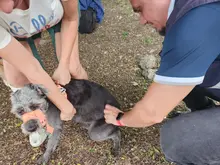 Alcaldía de Cali avanza con la campaña ‘Yo cuido y mantengo mi parque limpio’, para la correcta disposición de excrementos de mascotas
