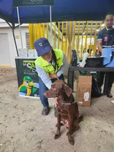 Alcaldía de Cali avanza con la campaña ‘Yo cuido y mantengo mi parque limpio’, para la correcta disposición de excrementos de mascotas