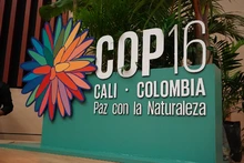 En el cierre de la COP16, Cali vivió el ‘Foro Deporte y Medio Ambiente’