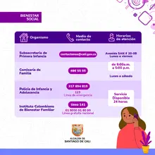 Ruta de Atención 2
