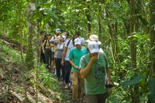 COP16, éxito turístico sin precedentes en Cali: más de 15.000 turistas, 11.000 reservas aéreas internacionales y ocupación hotelera del 91 %