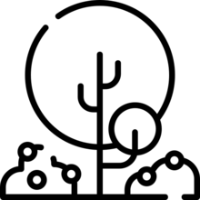 tree_1742338