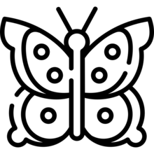 butterfly_1742514