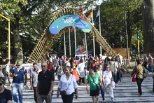 Imagen 6