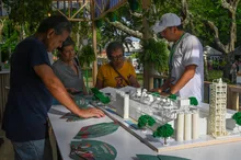 Imagen 11