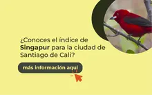 5_Banner_Gestion_Medio_Ambiente