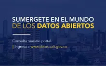 2_Banner_Bienes_Y_Servicios