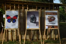 Arte