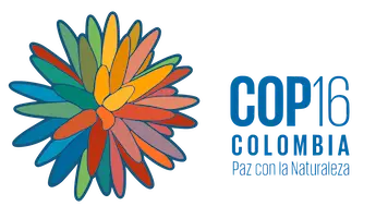 Logos cop 16 footer