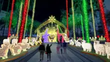 ‘Alumbrado Navideño 2024’ abarcará más zonas de Cali y costará menos que el año pasado
