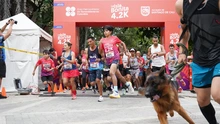 Cali madrugó a correr la ‘4.2K La Isla Bonita’, antes de cumplir la cita con el Área Metropolitana del Suroccidente