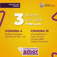 Jornada de esterilización 3 de diciembre de 2024