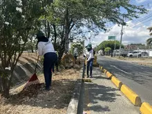 Cali florece: ‘Promotores Mi Cali Bella’ inician jornada de embellecimiento en la calle 13 entre carreras 50 y 56