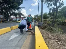 Cali florece: ‘Promotores Mi Cali Bella’ inician jornada de embellecimiento en la calle 13 entre carreras 50 y 56