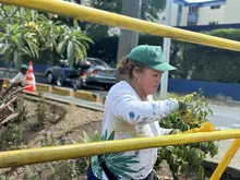 Cali florece: ‘Promotores Mi Cali Bella’ inician jornada de embellecimiento en la calle 13 entre carreras 50 y 56