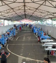 Cali demuestra su amor por los animales: más de 700 participaron en jornada masiva