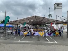 Cali demuestra su amor por los animales: más de 700 participaron en jornada masiva