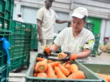Así es el ‘Concurso de Pesebres Ecológicos’ que premiará la creatividad de gestores y beneficiarios de 762 comedores comunitarios