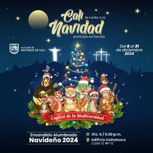 Alumbrado Navideño 2024