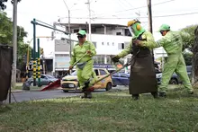‘Cali le canta a la Navidad’ con zonas verdes limpias y en óptimas  condiciones