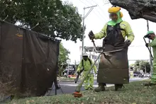 ‘Cali le canta a la Navidad’ con zonas verdes limpias y en óptimas  condiciones
