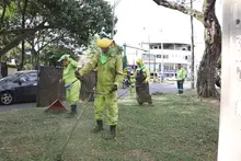 ‘Cali le canta a la Navidad’ con zonas verdes limpias y en óptimas  condiciones