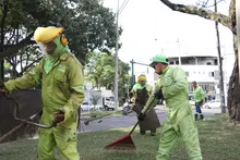 ‘Cali le canta a la Navidad’ con zonas verdes limpias y en óptimas  condiciones