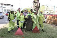 ‘Cali le canta a la Navidad’ con zonas verdes limpias y en óptimas  condiciones