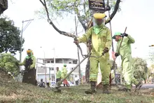 ‘Cali le canta a la Navidad’ con zonas verdes limpias y en óptimas  condiciones