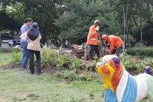 Avanza la recuperación del Parque del Perro: Dagma supervisa la extracción de un gigantesco tocón