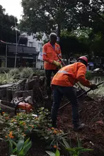 Avanza la recuperación del Parque del Perro: Dagma supervisa la extracción de un gigantesco tocón