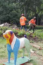 Avanza la recuperación del Parque del Perro: Dagma supervisa la extracción de un gigantesco tocón