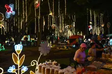 El plan imperdible del ‘Alumbrado 2024’: un recorrido que le ‘canta a la Navidad’