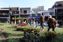 Con un caracolí y jardín para polinizadores, se realizó la reposición del caucho talado en el Parque del Perro