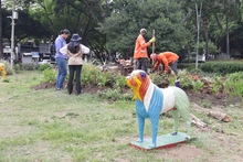 Con un caracolí y jardín para polinizadores, se realizó la reposición del caucho talado en el Parque del Perro