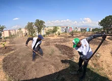 Más de veintinueve mil metros cuadrados del jarillón del río Cauca han sido recuperados ambientalmente