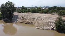 Más de veintinueve mil metros cuadrados del jarillón del río Cauca han sido recuperados ambientalmente