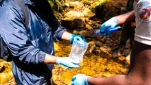 Cali recupera el Parque Nacional Natural Farallones, tras décadas de amenazas y asedios debido a la práctica de la minería ilegal