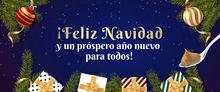 fELIZ_N