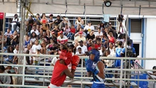 Con masiva participación en el Running Day, disciplinas de nuevas tendencias y actividades para niños, la Feria Deportiva de Cali despidió su programación 